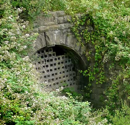 The surviving portal at the south end features bat-friendly access.