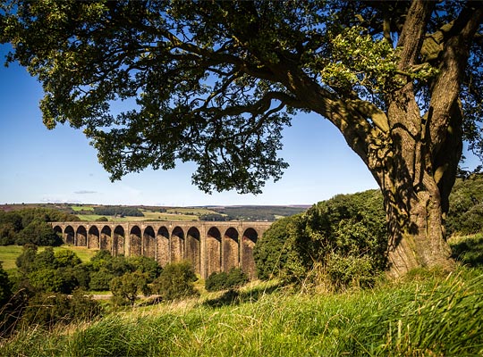 A classic view of the viaduct's southern elevation crossing Hewenden Beck.
