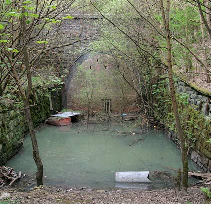 Gildersome's northern portal is hidden in a wood and protected by a lagoon of putrid water.