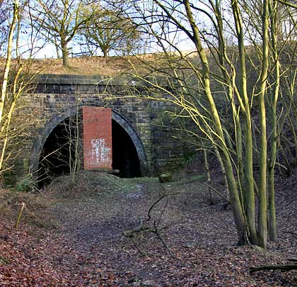 The west portal is stone-built and resides at the end of a partly-infilled approach cutting. Had it been fully infilled, the brick structure would have formed an access shaft.