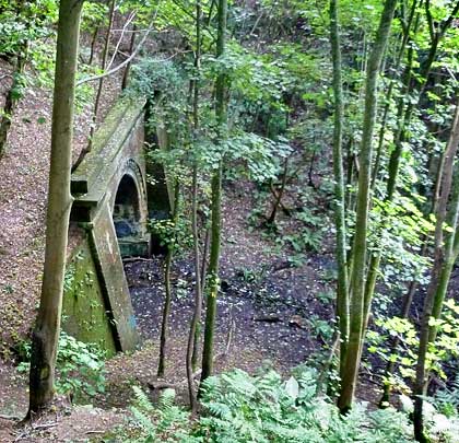 A deep approach cutting - now very boggy - leads to the west portal.