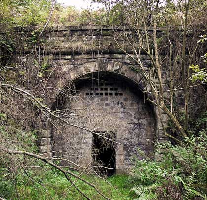 The northern portal, hiding behind vegetation.