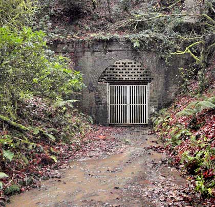 Perridge's eastern portal - brick-built and showing some distortion above the tunnel entrance.