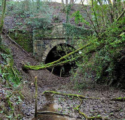 The north portal, featuring a substantial V-shaped parapet, is partly obscured by both a landslip and fallen trees.