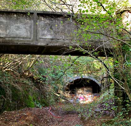 An old footbridge crosses the trackbed in front of the south portal.