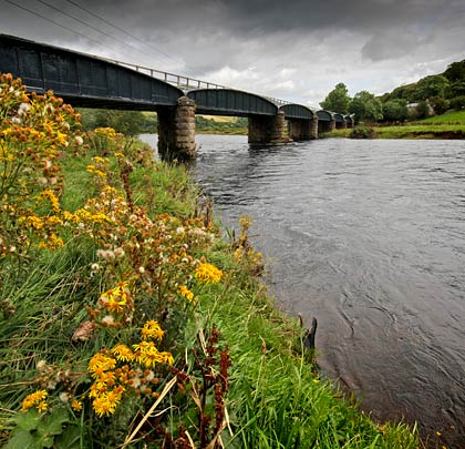 The structure comprises six spans but only three of its piers stand in the Tweed's normal channel.