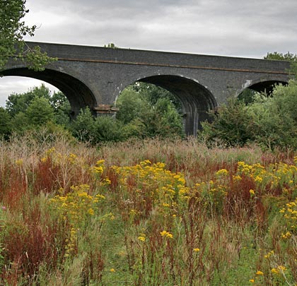 The structure's flat arches attempt to hide behind choking vegetation.
