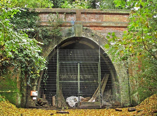 The north portal of Crescent Wood Tunnel - located in Sydenham Wood Nature Reserve and managed by the London Wildlife Trust as a bat hibernaculum.