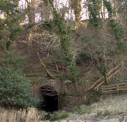 The easterly of two culverts that ease Rugley Burn beneath the line.