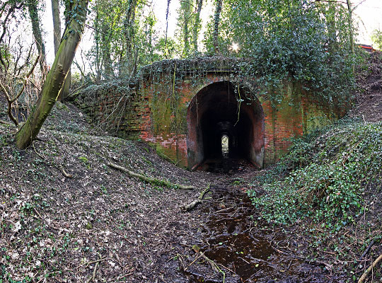 The north portal is blighted by ivy growth and brickwork loss to the east-side wing wall.
