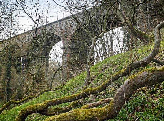 The area around the viaduct is heavily wooded, obscuring the structure from all angles.