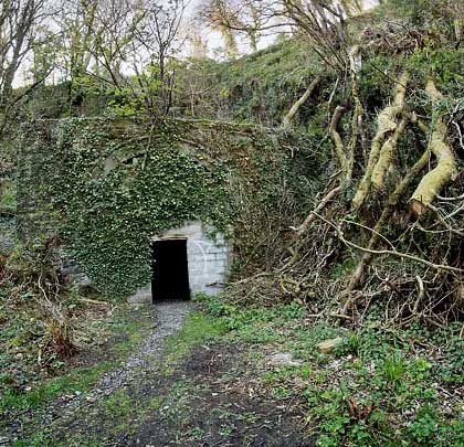 Consumed by vegetation, the east portal features a horseshoe-shaped entrance and masonry headwall which protudes from the rock face.
