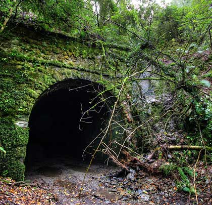 Masonry was used to construct the small north portal which is now moss-covered and partly hidden by fallen trees.