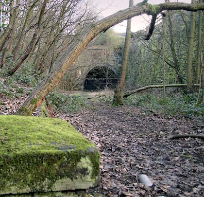 Land on the approach to the tunnel was the site of Gomersal Station.