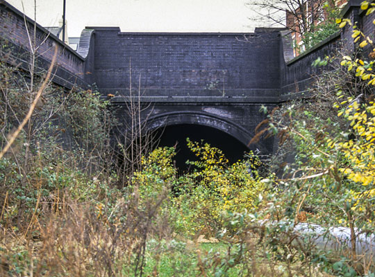 The overgrown southern approach cutting in December 1990.