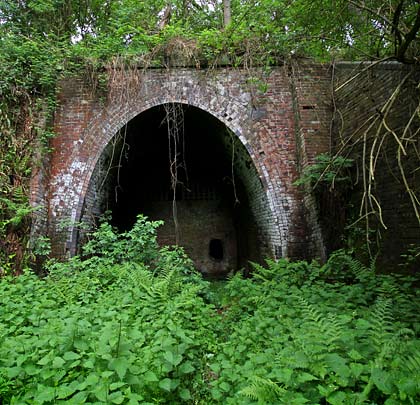 Retreating into the jungle, the east portal is functional, with buttresses either side of the entrance and substantial wing walls.