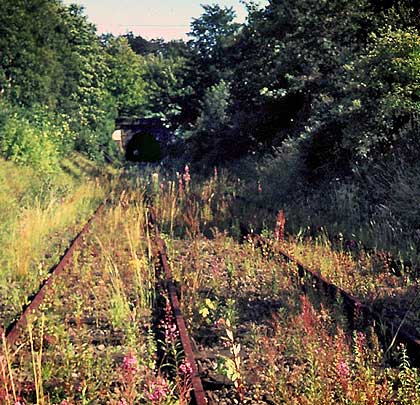 Vegetation starts to consume the rusting tracks in August 1965, but the signal sighting board still shines bright.