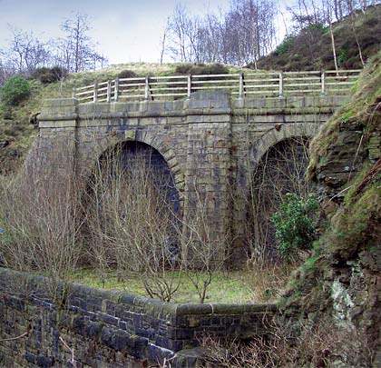 The now-blocked western portals of Newchurch No.1 (left) and Thrutch look out over a missing bridge.