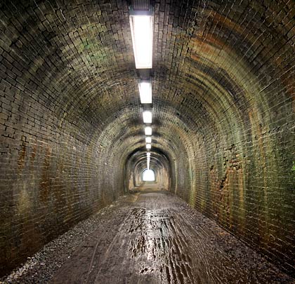 Lined throughout with five brick rings, the tunnel's innards are wet, resulting in some spalling of the brickwork.