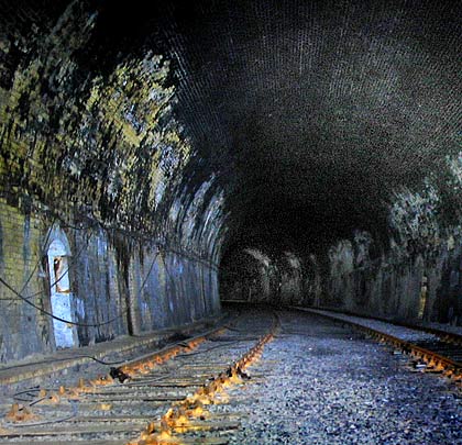 The tunnel is double track until it reaches the section under the docks' connecting channel.