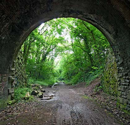 On its exit from the tunnel, a footpath heads off into the woods.