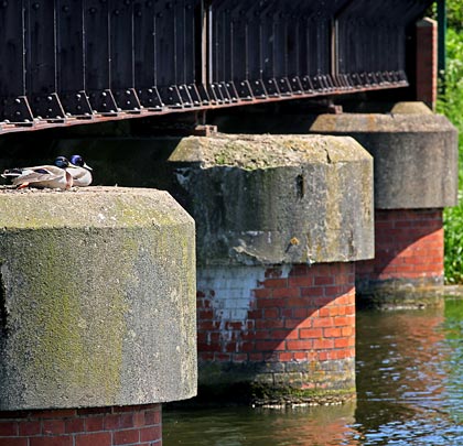Rounded to defect the water flow, the piers are brick-built but with concrete imposts colonised by Mallards.