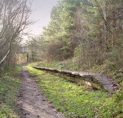 In 1885, the North Eastern Railway extended its Spennymoor-Ferryhill line to Bishop Auckland, passing one mile south of Byers Green. Today, ramblers can visit the remaining platform.