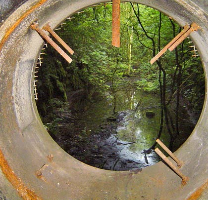The swamp-like conditions in the cutting are clear from the elevated vantage point of a hole in the blockwall, formerly occupied by a fan.