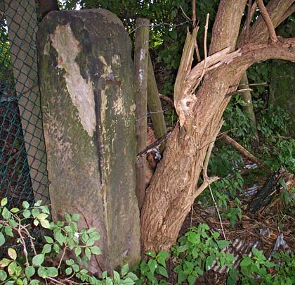 A substantial stone gatepost loiters in the undergrowth.