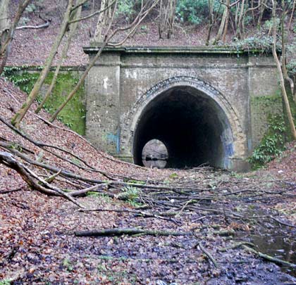 Hayne Tunnel still loiters in the trees which have taken over the trackbed of the old Hythe & Sandgate Railway, closed in 1951.                Photo: Brian Halford