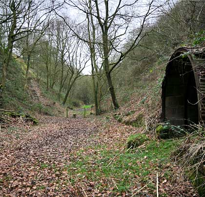 Today, the northern approach cutting to the now-buried Duckmanton Tunnel is a nature reserve.