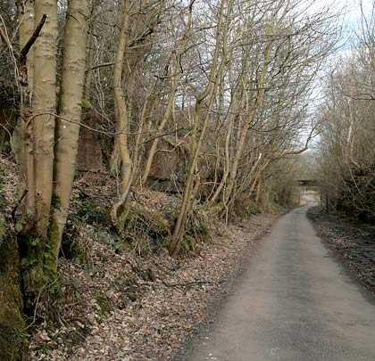 Trains approached from Stainmore through a steep-sided cutting.