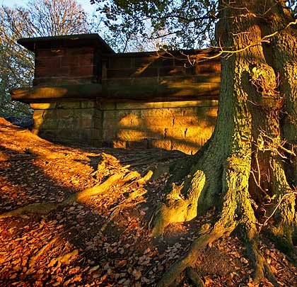 A gnarled tree stands alongside the northern abutment.
