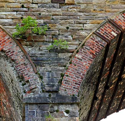 Springing off stone skewbacks, some of the brick arches have also been strapped. The spandrels unhelpfully host saplings.