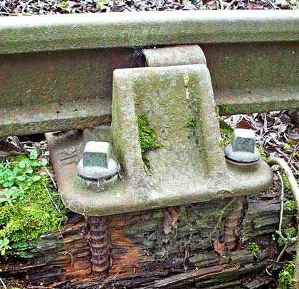 A section of waybeam has rotted away to reveal the securing bolts beneath a rail chair.