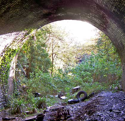 A vegetation-choked cutting - which once contained Albert Road Halt - separates the two tunnels.