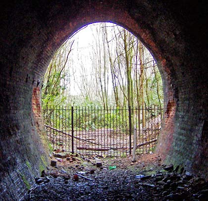 The view into the southern approach cutting highlights the tunnel's horseshoe profile.