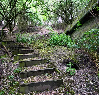 At the west end, steps descend the cutting side adjacent to the wing wall, providing access to a footpath on the former trackbed