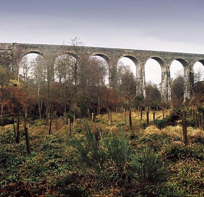 Young trees threaten to spoil views of the viaduct's eastern elevation.