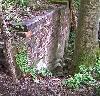 Close to the northern, buried portal of Rowthorn Tunnel (Derbyshire), a curvert burrows its way through the embankment.                                   Photo: Richard Earlam