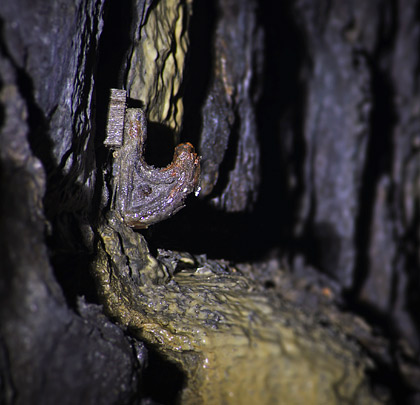 In the Old tunnel, cable hangers remain in situ high on the Up sidewall.