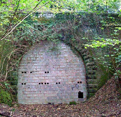 The west portal - bricked-up but with bat-friendly holes.