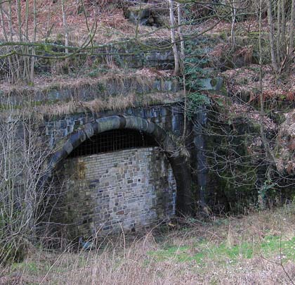 The bricked-up eastern portal and partially infilled approach cutting.