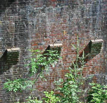 Supports for the rakers that helped to brace the arches' timber centring are still apparent half way up the piers.