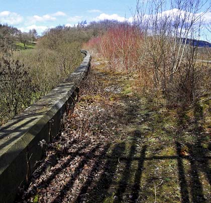 Plans to lay a Greenway over the viaduct's deck have been developed, with the possibility of a covered section being installed incorporating cantilevered viewing platforms.