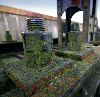 Despite nature tightening her grip, these nuts are going nowhere.