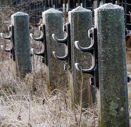 On the approach to Butterhouse Tunnel, a regiment of frost-bitten cable hangers stands to attention.