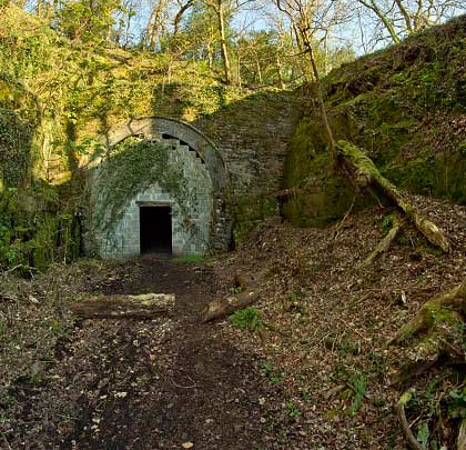 The west portal, also lost to vegetation, is pushed into the end of a vertically-sided rock cutting.