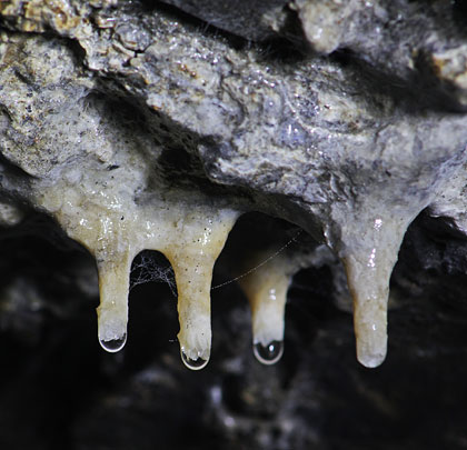 Stalactites have formed as a result of the water ingress.