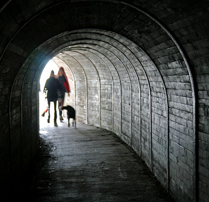 A timber lining is present at the northern end, as the tunnel and its footpath curve to find daylight.